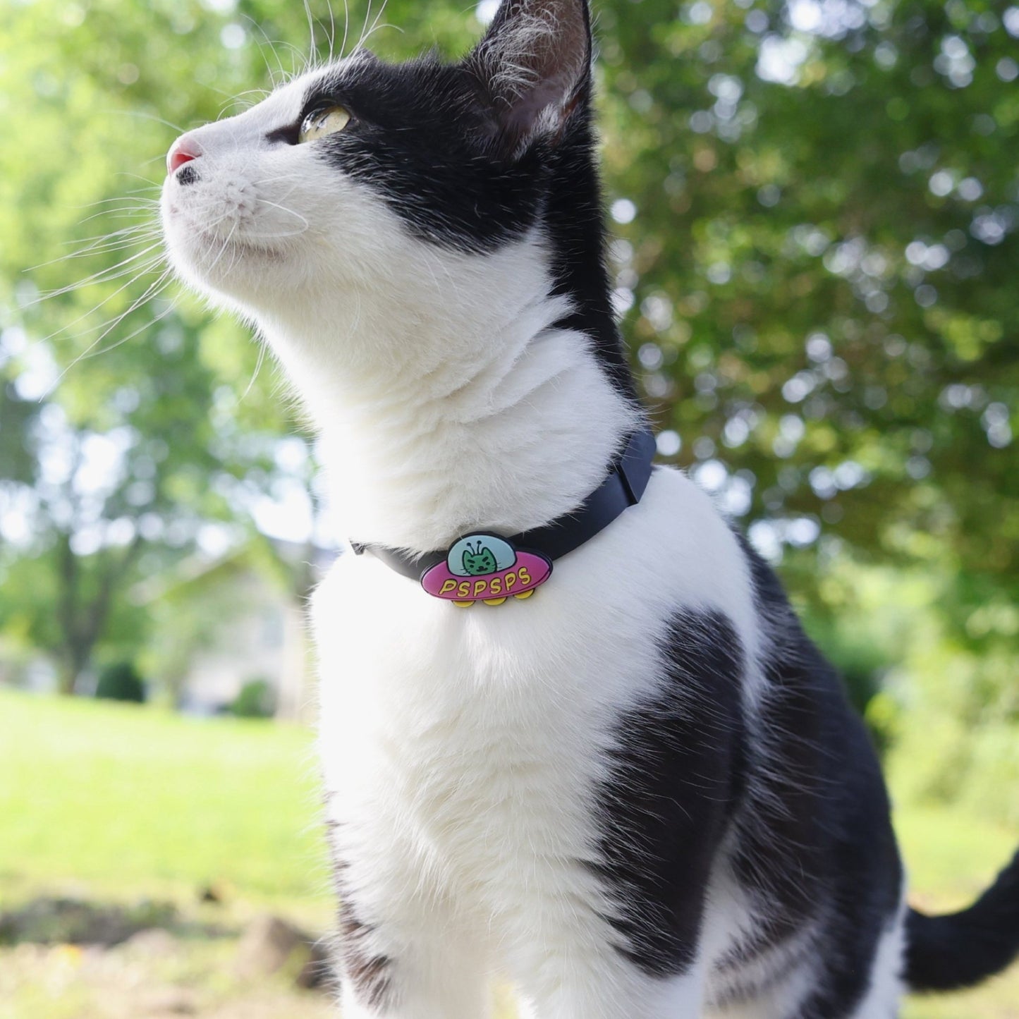 UFO Jiby Cat Charm