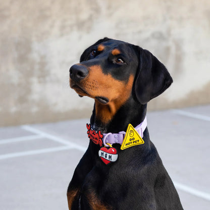 Do Not Pet Jiby Dog Charm