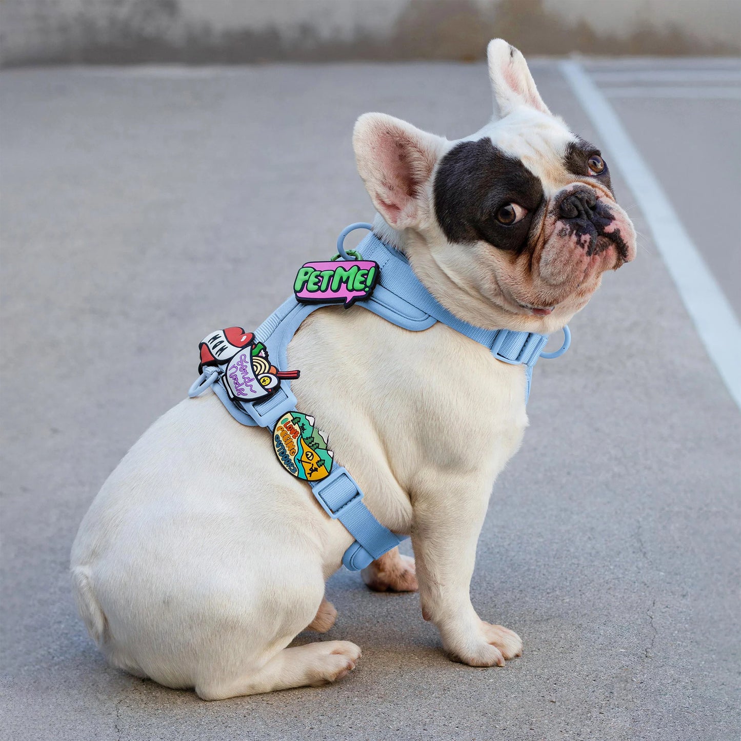 Pet Me Jiby Dog Charm