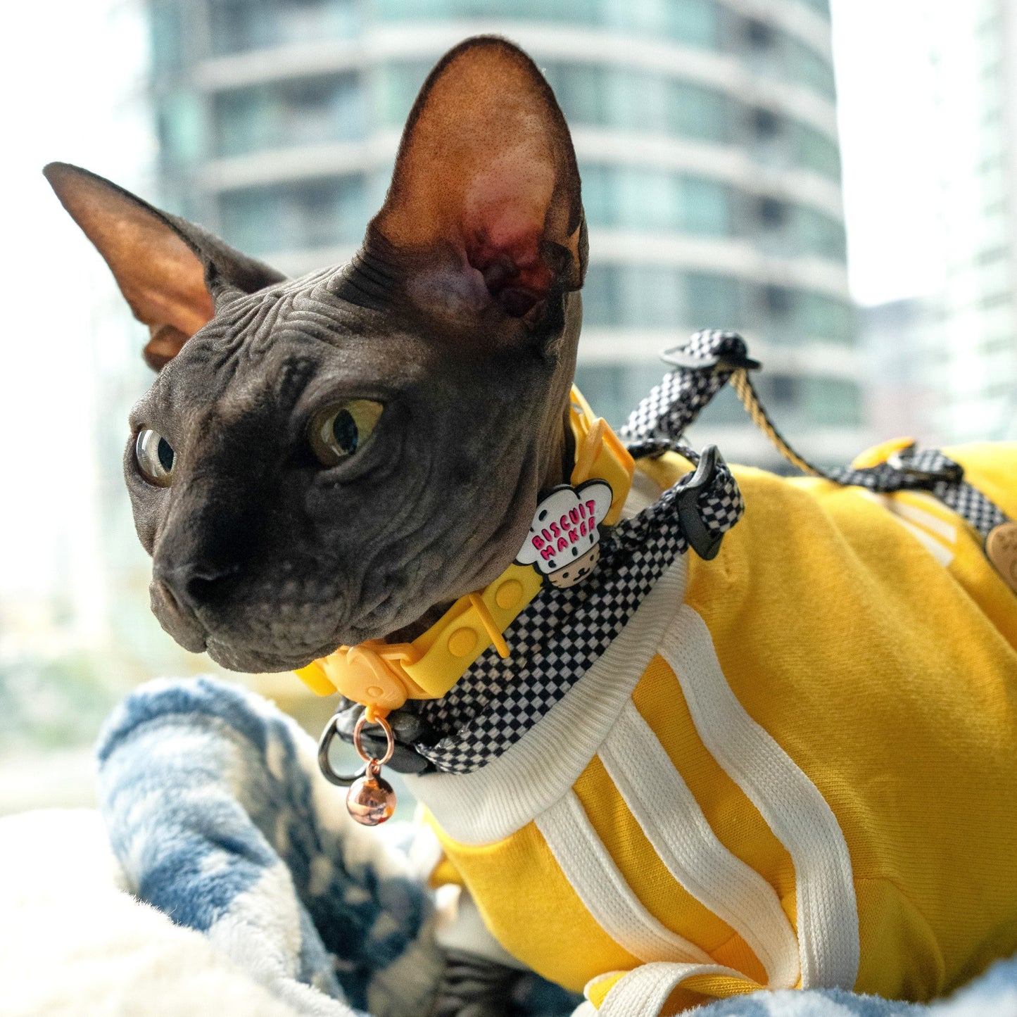 Biscuit Maker Jiby Cat Charm