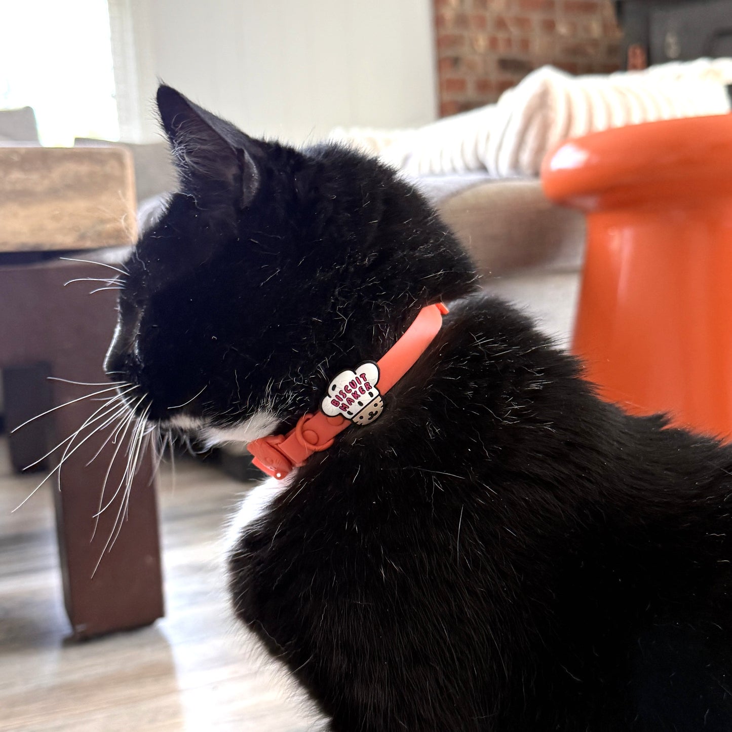 Biscuit Maker Jiby Cat Charm