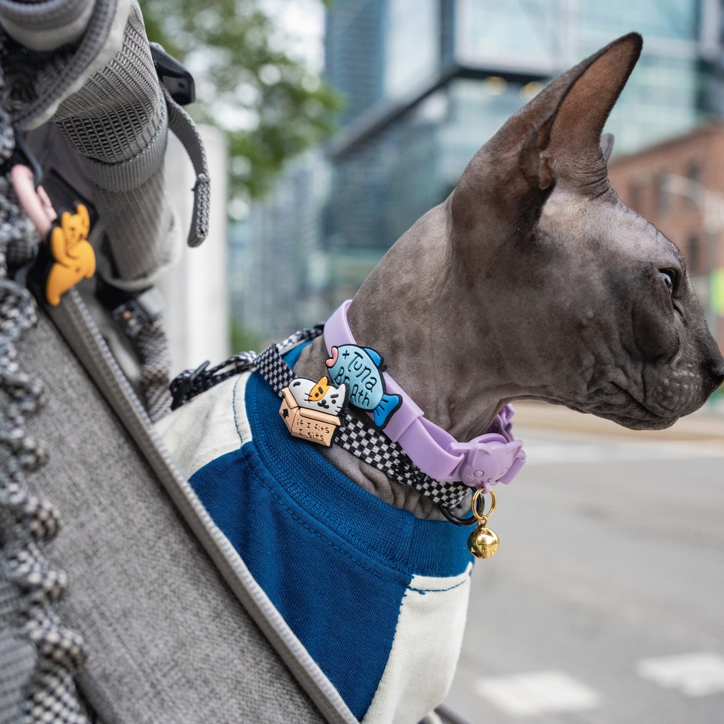 If I Fits I Sits Jiby Cat Charm