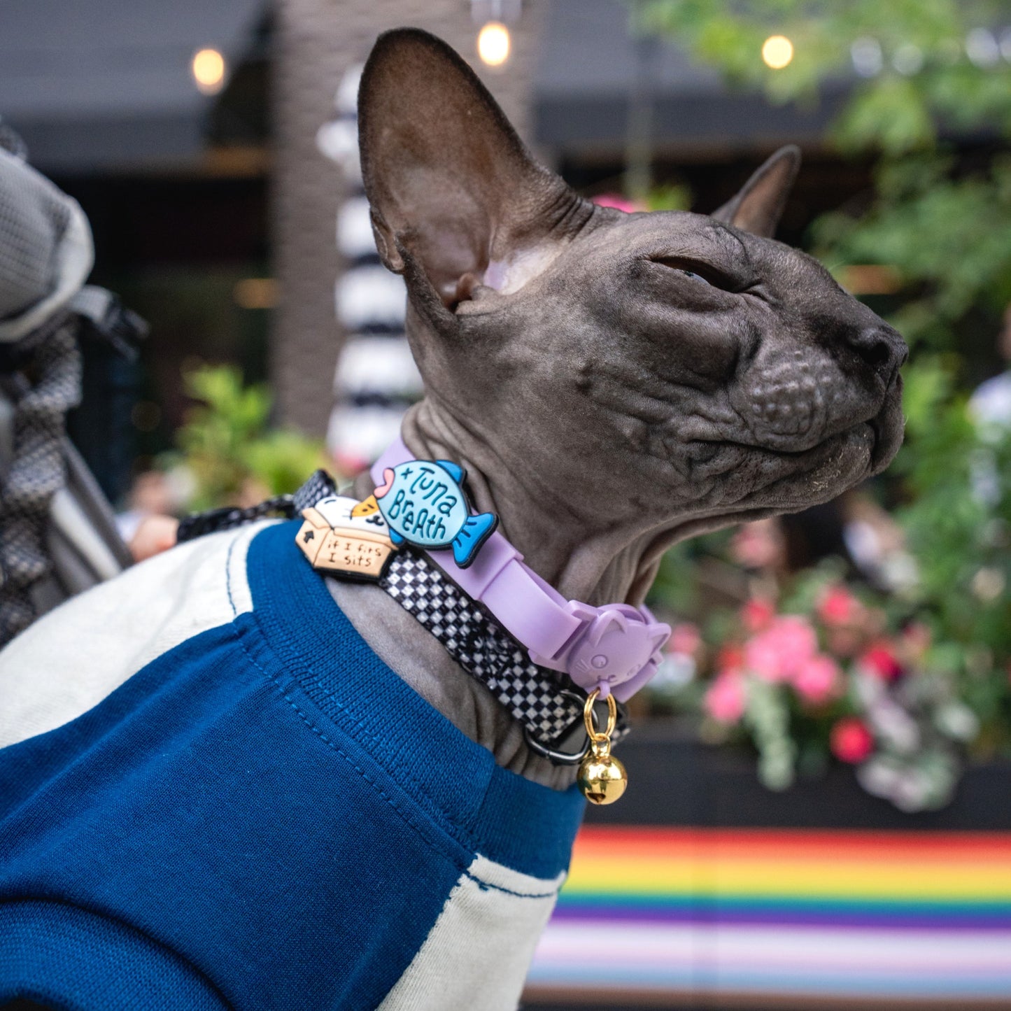 Tuna Breath Jiby Cat Charm