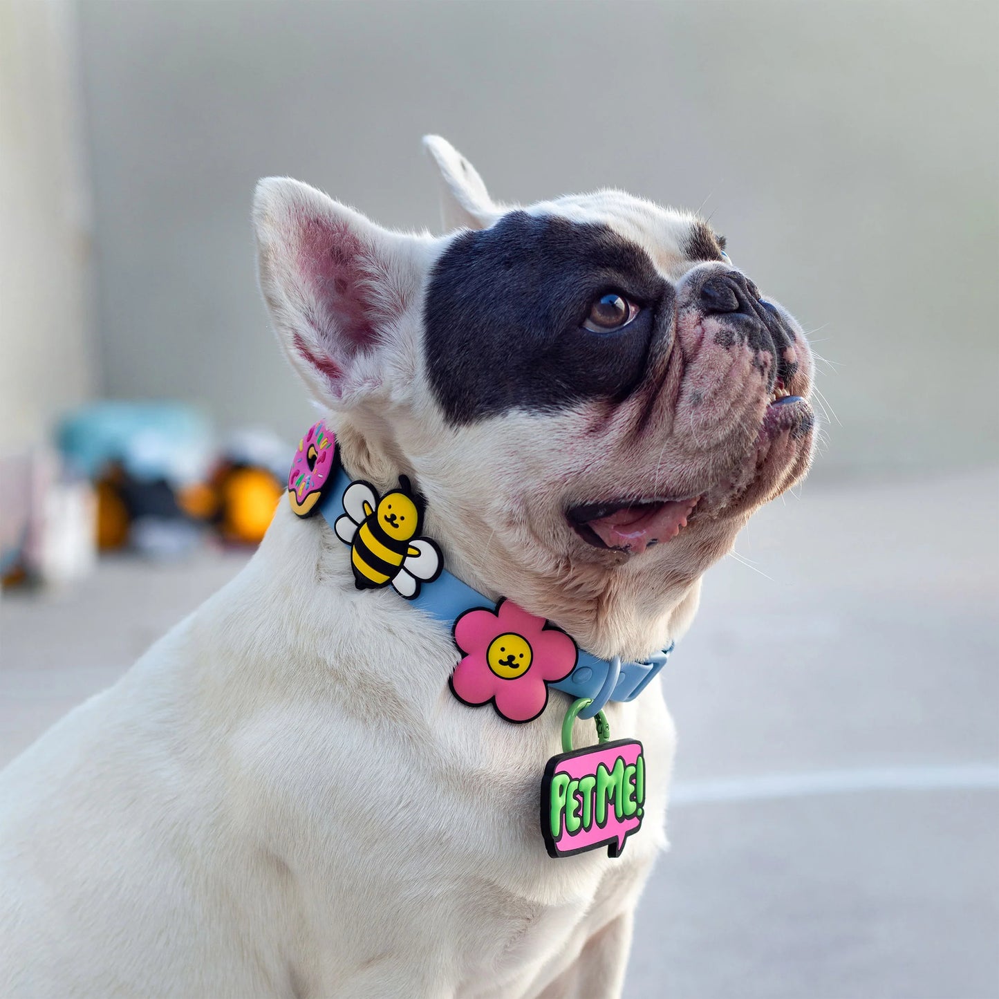 Daisy Pink Jiby Dog Charm