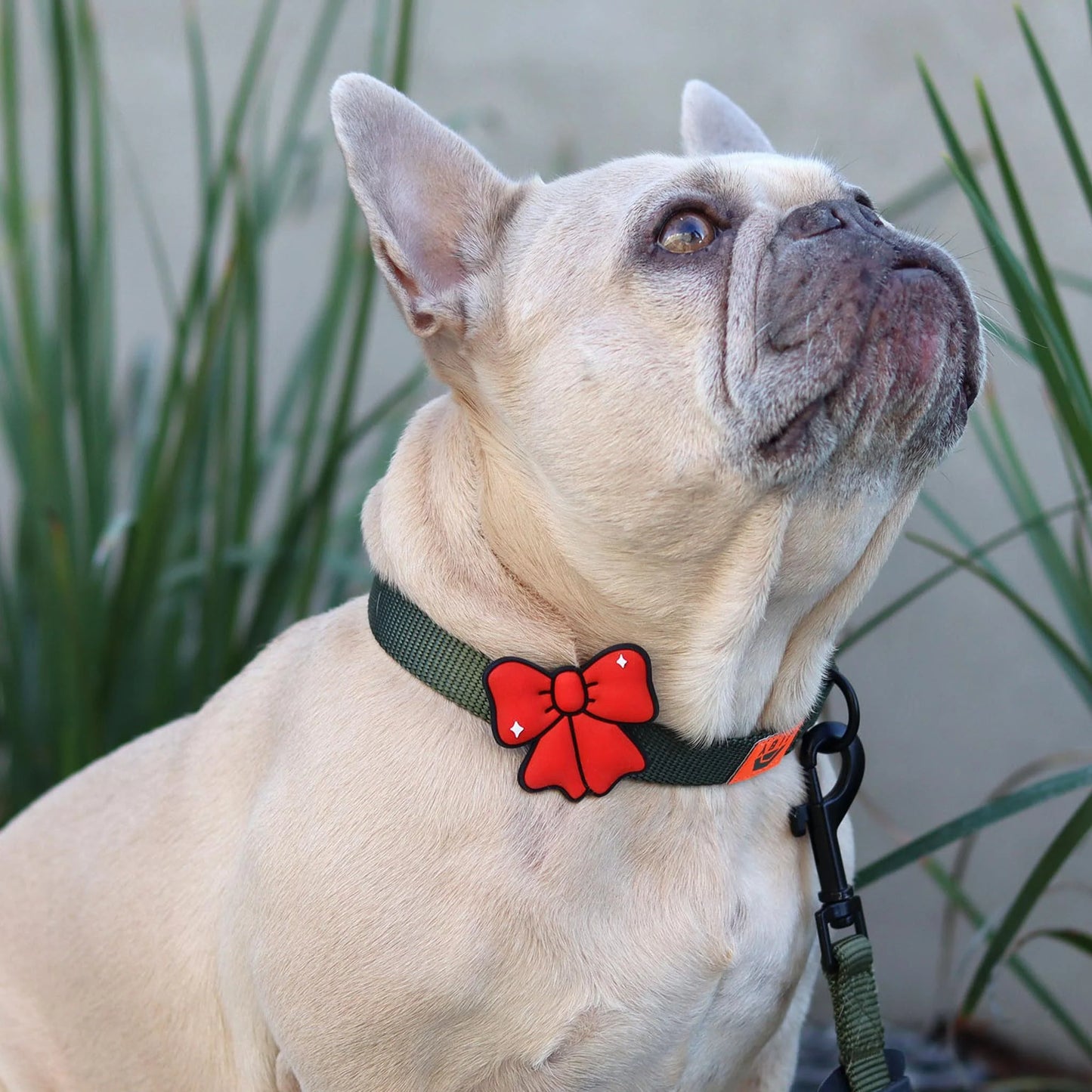 Ribbon Red Jiby Dog Charm