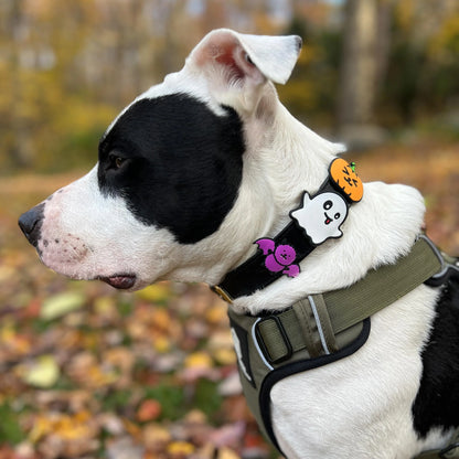 Ghost Dog Jiby Dog Charm