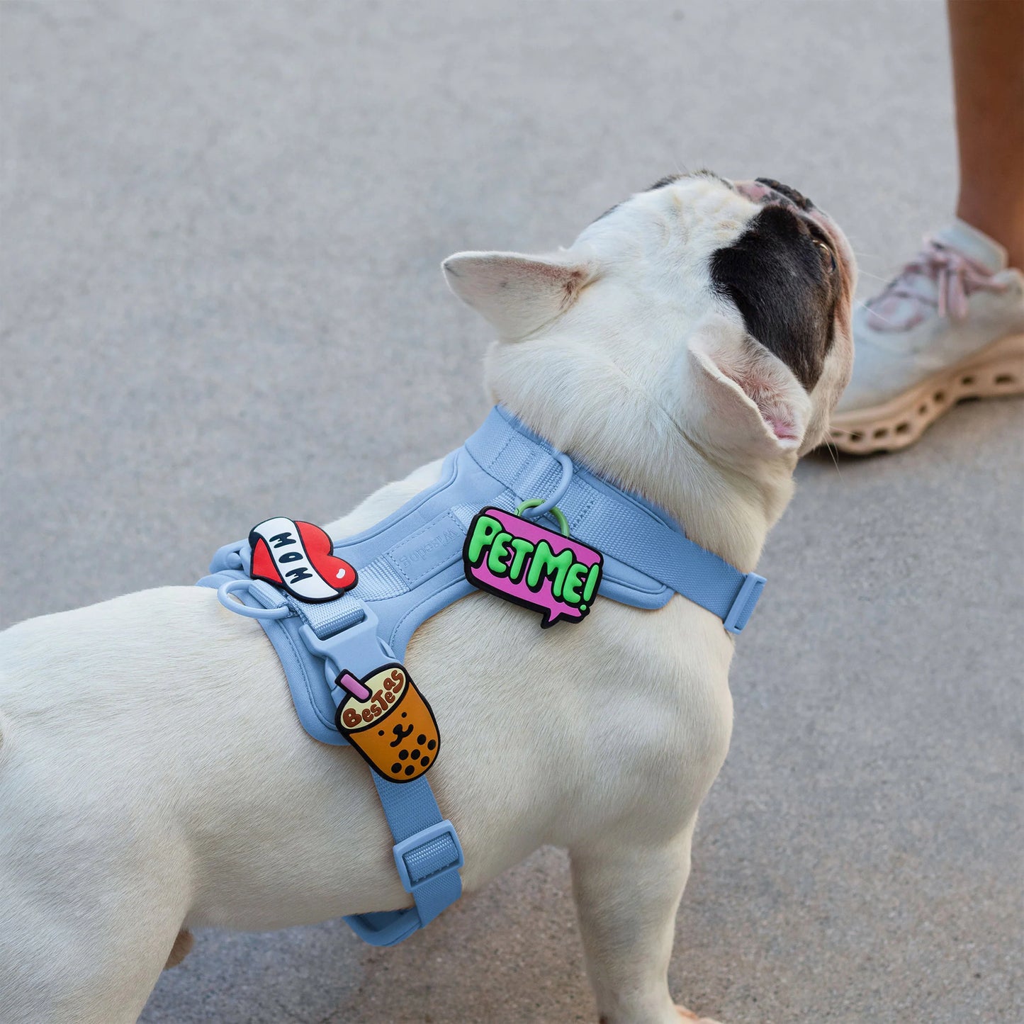 Boba Milk Tea Jiby Dog Charm