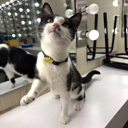 Fur Majesty Jiby Cat Charm