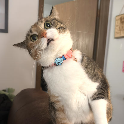 Tuna Breath Jiby Cat Charm